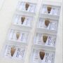 Mosasaur Tooth Fossil, thumbnail 8 of 10