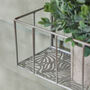 Set Of Two Iron Arch Wall Planters, thumbnail 6 of 7