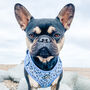 Blue Leopard Padded Dog Harness, thumbnail 2 of 4