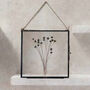 Set Of Pressed Flower Frames: Black Daisy, Bunny Tails, thumbnail 2 of 11