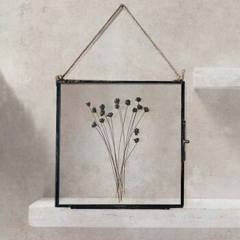 Set Of Pressed Flower Frames: Black Daisy, Bunny Tails, 2 of 11