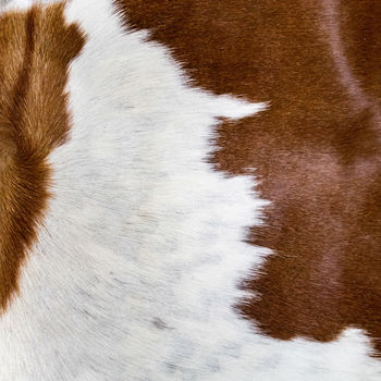 Brown And White Natural Cowhide Cushion Cover, 4 of 6