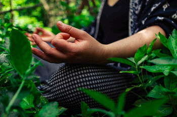 Yoga And Forest Bathing Experience In Brighton. For Two, 3 of 12