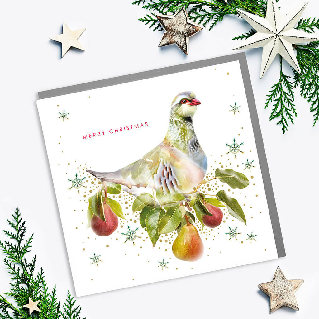 Partridge In A Pear Tree Christmas Card