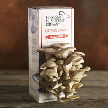 Pearl Oyster Grow Your Own Mushroom Kit, 2 of 8