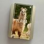Adopt A Llama Gift Tin, thumbnail 2 of 4