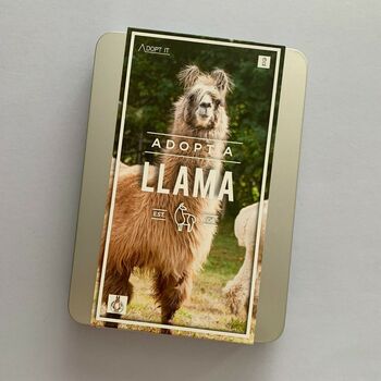 Adopt A Llama Gift Tin, 2 of 4