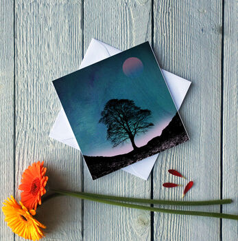 Sycamore Gap At Dusk Greetings Card, 2 of 2