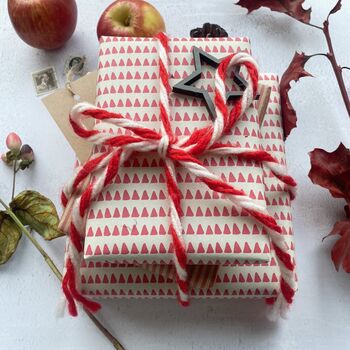 Red Stripe Paper Fibre Christmas Wrapping Paper Set, 10 of 12