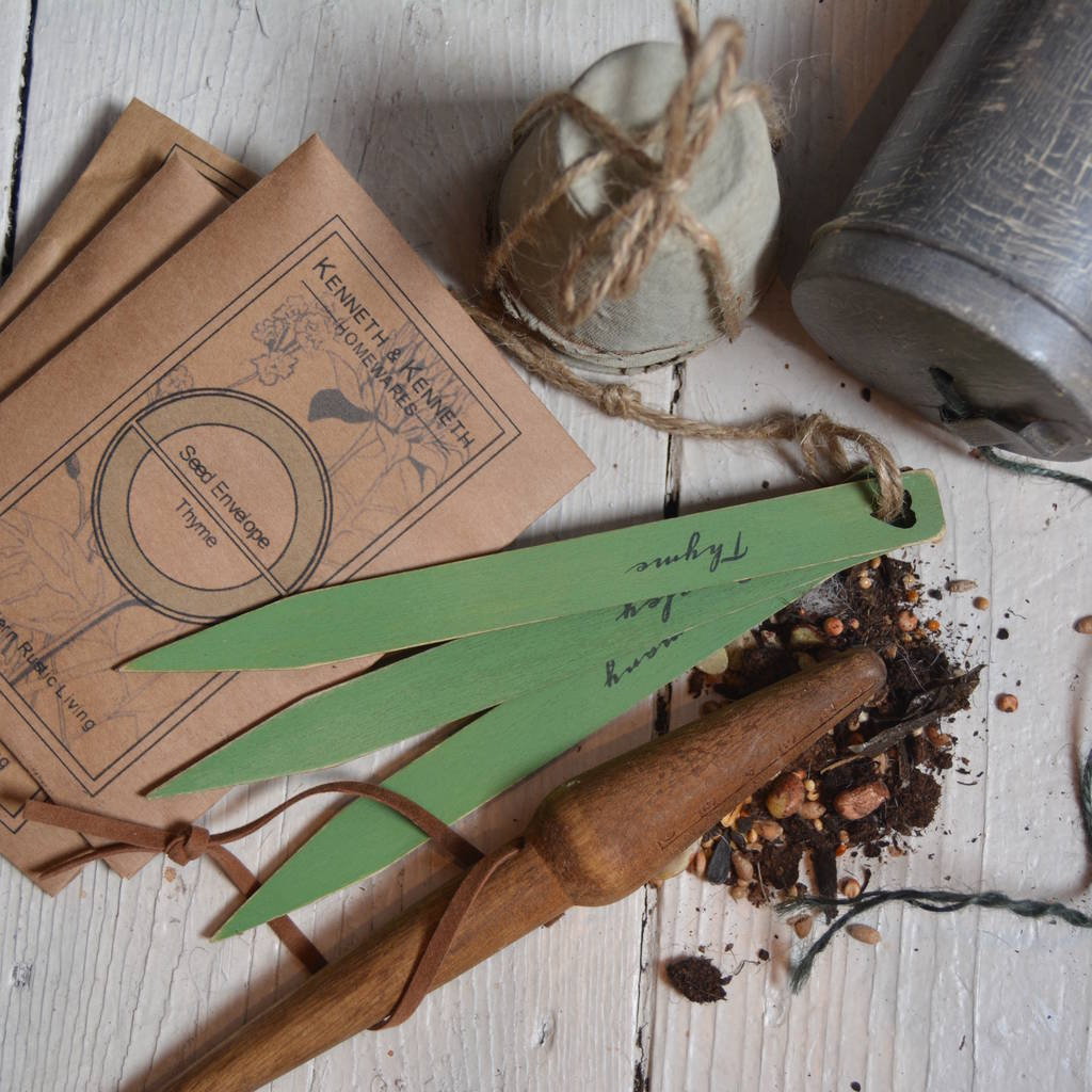 parsley, rosemary, thyme and terracotta planting by &