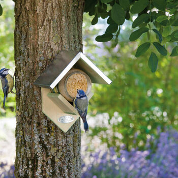 Pine Peanut Butter Bird Feeder With Zinc Roof 19.5cm, 3 of 5