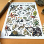 Beach Wildlife Of Britain Watercolour Postcard, thumbnail 4 of 11