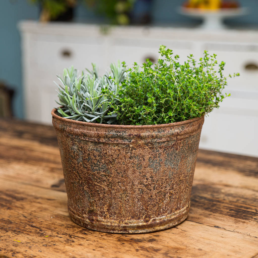 large aged zinc planter plant pot by stupid egg interiors