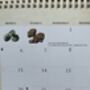 2025 Calendar UK Seasonal Fruit And Vegetable Calendar, thumbnail 9 of 12