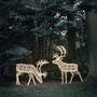 Set Of Two Extra Large Light Up Rattan Reindeer Outdoor Figures, thumbnail 4 of 5