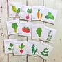 Grow Your Own Allotment Vegetable Gardening Gift Seed Kit, thumbnail 5 of 10