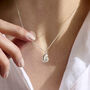 Mini Nautilus Shell Necklace, thumbnail 1 of 7