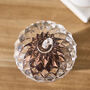 Woodland Acorn Glass Jar, thumbnail 4 of 5