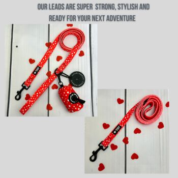 Red Valentine Heart Dog Lead/Leash, 4 of 4