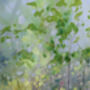 Beltane Landscape Painting, thumbnail 7 of 11