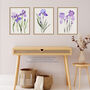 Set Three Wall Art Prints Iris Floral Flowers Purple, thumbnail 3 of 7