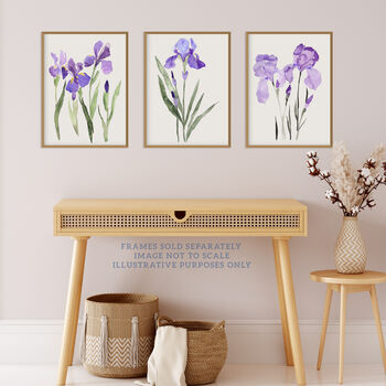 Set Three Wall Art Prints Iris Floral Flowers Purple, 3 of 7