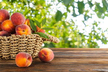 Peach Trees 'Pergerine', 5 of 11