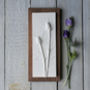 Sea Thistle No.Two Plaster Cast Wall Plaque, thumbnail 2 of 5