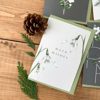 Botanical Christmas Card 'Warm Wishes' Festive Foliage, 2 of 2