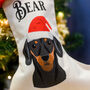 Personalised Santa Dog Christmas Stocking, thumbnail 8 of 9