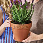 Mr And Mrs Personalised Terracotta Plant Pot, thumbnail 1 of 3