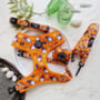 Trick Or Treat Harry Halloween Dog Harness, thumbnail 6 of 10