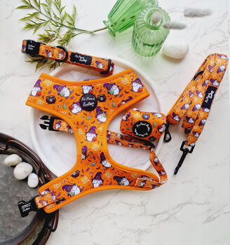 Trick Or Treat Harry Halloween Dog Harness, 6 of 10