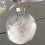 Personalised Memorial Christmas Feather Filled Bauble, thumbnail 1 of 10