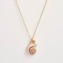 Sea Snail Shell And Pearl Short Necklace, thumbnail 2 of 6
