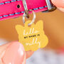 Personalised Cat Face Hello Cat ID Tag, thumbnail 3 of 12