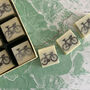 Chocolate Bicycles, thumbnail 4 of 4
