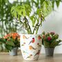 British Garden Birds Ceramic Plant Pot, thumbnail 1 of 3