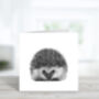 Persei The Luxury Hedgehog Blank Greeting Card, thumbnail 1 of 7