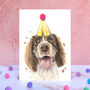 Springer Spaniel Pompom Birthday Card, thumbnail 1 of 1