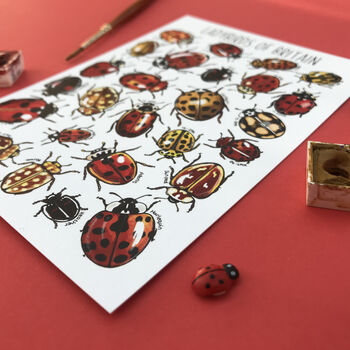 Ladybirds Of Britain Illustrated Postcard, 8 of 12