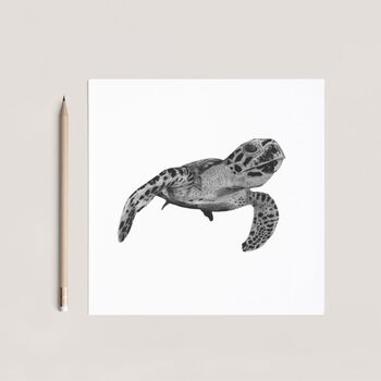 Heze The Turtle Blank Greeting Card, 3 of 3