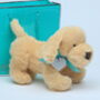 Golden Puppy Dog With Personalised Keepsake, thumbnail 1 of 5