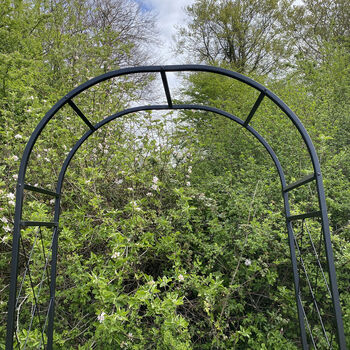 Knightsbridge Metal Garden Arch, 5 of 7