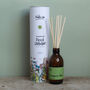 Renaissance Man Botanical Natural Rattan Reed Diffuser, thumbnail 3 of 4