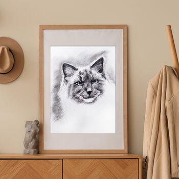Personalised Hand Drawn Pet Portrait Cat / Dog Drawing, 3 of 12