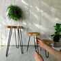 Three Wooden Plant Stands Indoor Houseplant Display, thumbnail 2 of 7