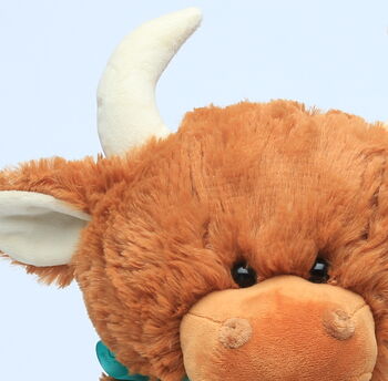 Highland Brown Cow Large Soft Toy, With Engraved Heart, 4 of 5