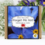 Gardening Gift. Forget Me Not Growing Kit, thumbnail 1 of 6