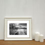 Grass Clearing, Suffolk Photographic Art Print, thumbnail 2 of 4